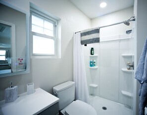 Shower, hair dryer, towels, soap - Newly Remodeled Deluxe Studio-No storm damage (Clearwater)