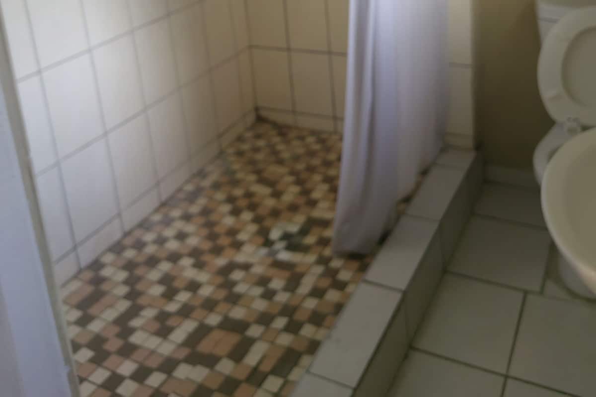 A bathroom with a shower, toilet, and tiled floor.
