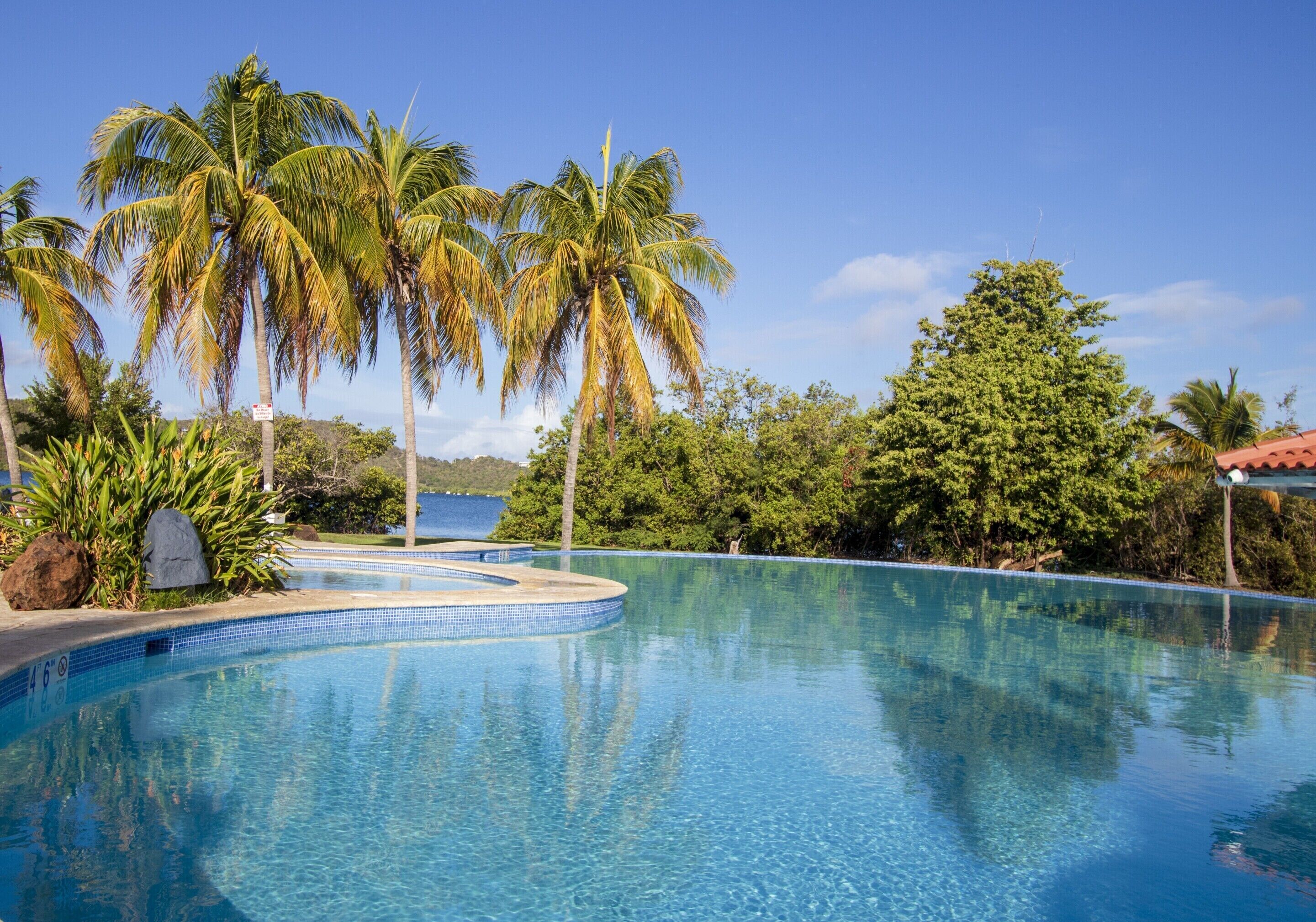 A clear blue infinity pool surrounded by palm trees and lush greenery, with a view of the sea in the background.