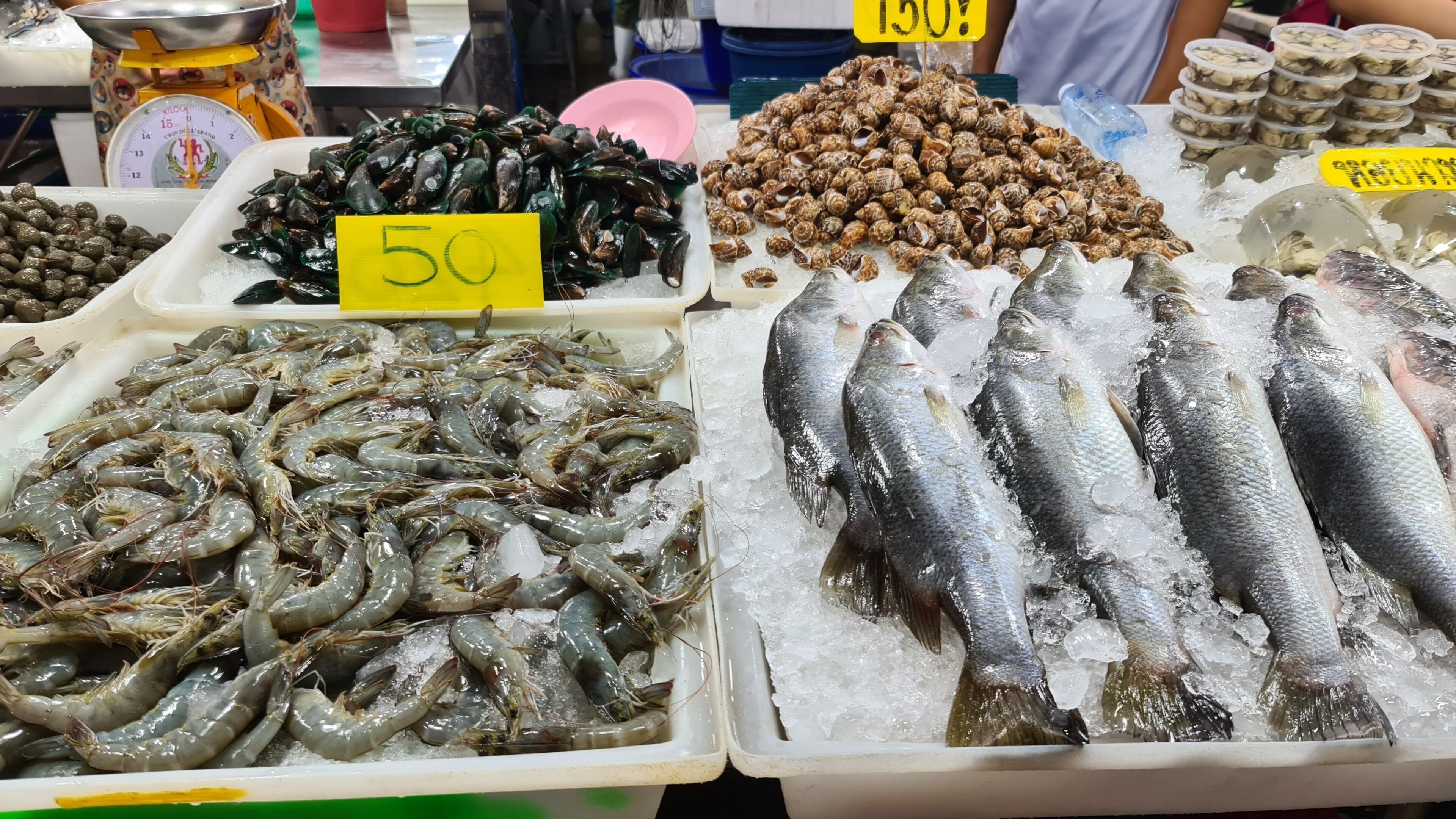 A seafood market with various fresh seafood displayed on ice.