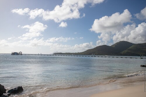 Beachside Corail