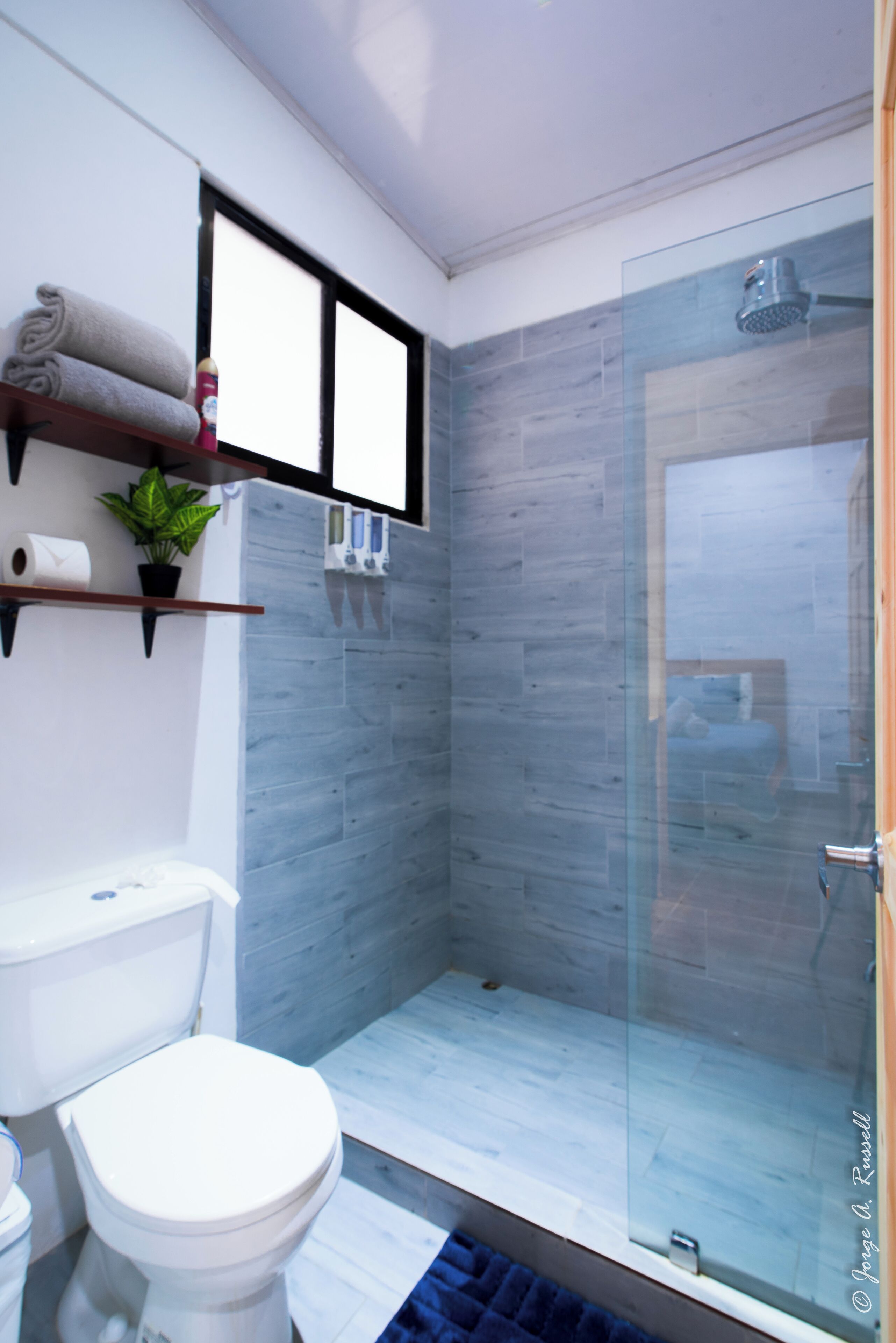 Shower, hair dryer, towels, toilet paper