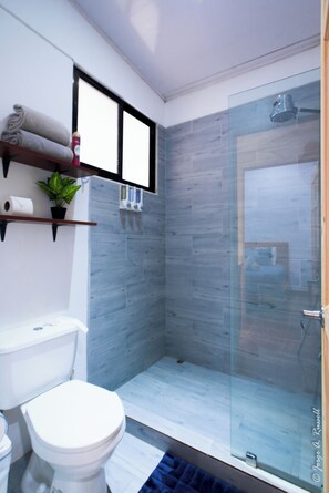 Shower, hair dryer, towels, toilet paper