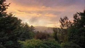 Un paysage boisé offrant une vue sur une colline ou une montagne lointaine, avec une terrasse en bois au premier plan.