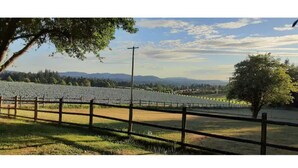 A vineyard with rows of grapevines, a wooden fence, and a clear sky. - Little Red Caboose with a View in the Scenic Columbia River Gorge (Troutdale)