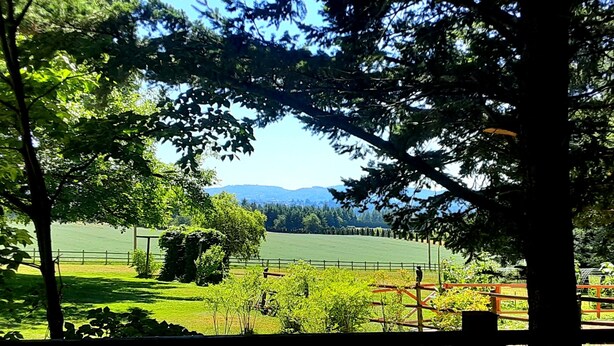 A view of a green field with a fence, trees, and a distant mountain range.
