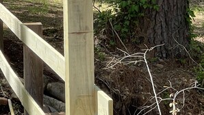 Een houten paal met een 'WELCOME' bord, een houten omheining en een boom met klimop.