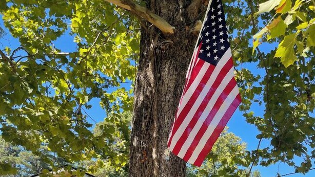 Een boom met een Amerikaanse vlag, een klein huis met veranda en een picknicktafel in een tuin.