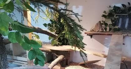 Familienfreundlich Wohnen im Miriquidi, Tipps fĂŒr Erlebnisse vor Ort