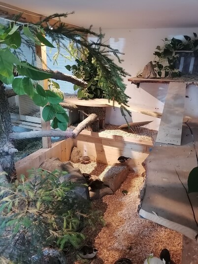 Familienfreundlich Wohnen im Miriquidi, Tipps für Erlebnisse vor Ort