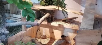 Familienfreundlich Wohnen im Miriquidi, Tipps für Erlebnisse vor Ort