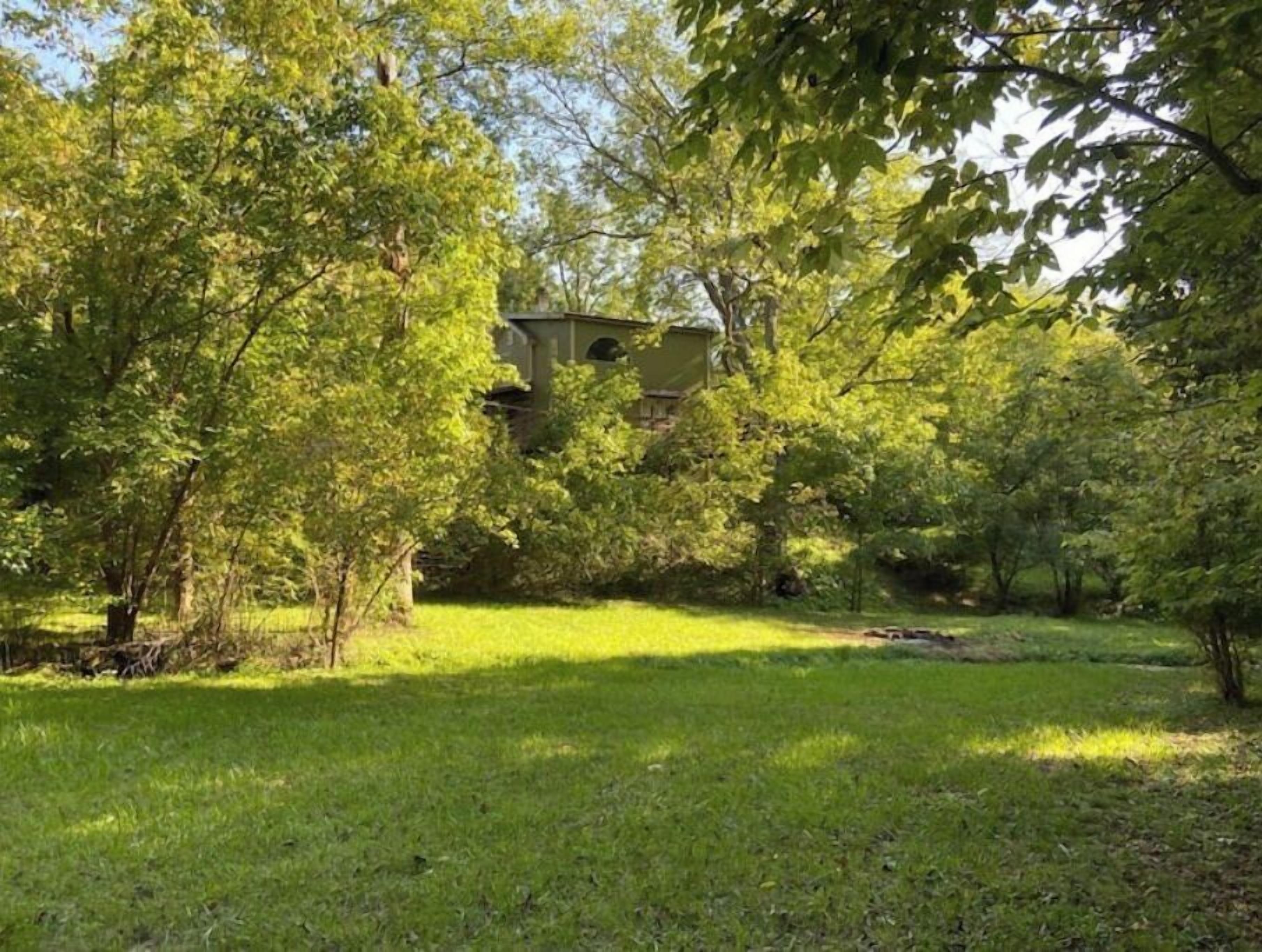A lush green garden with a building partially obscured by trees.