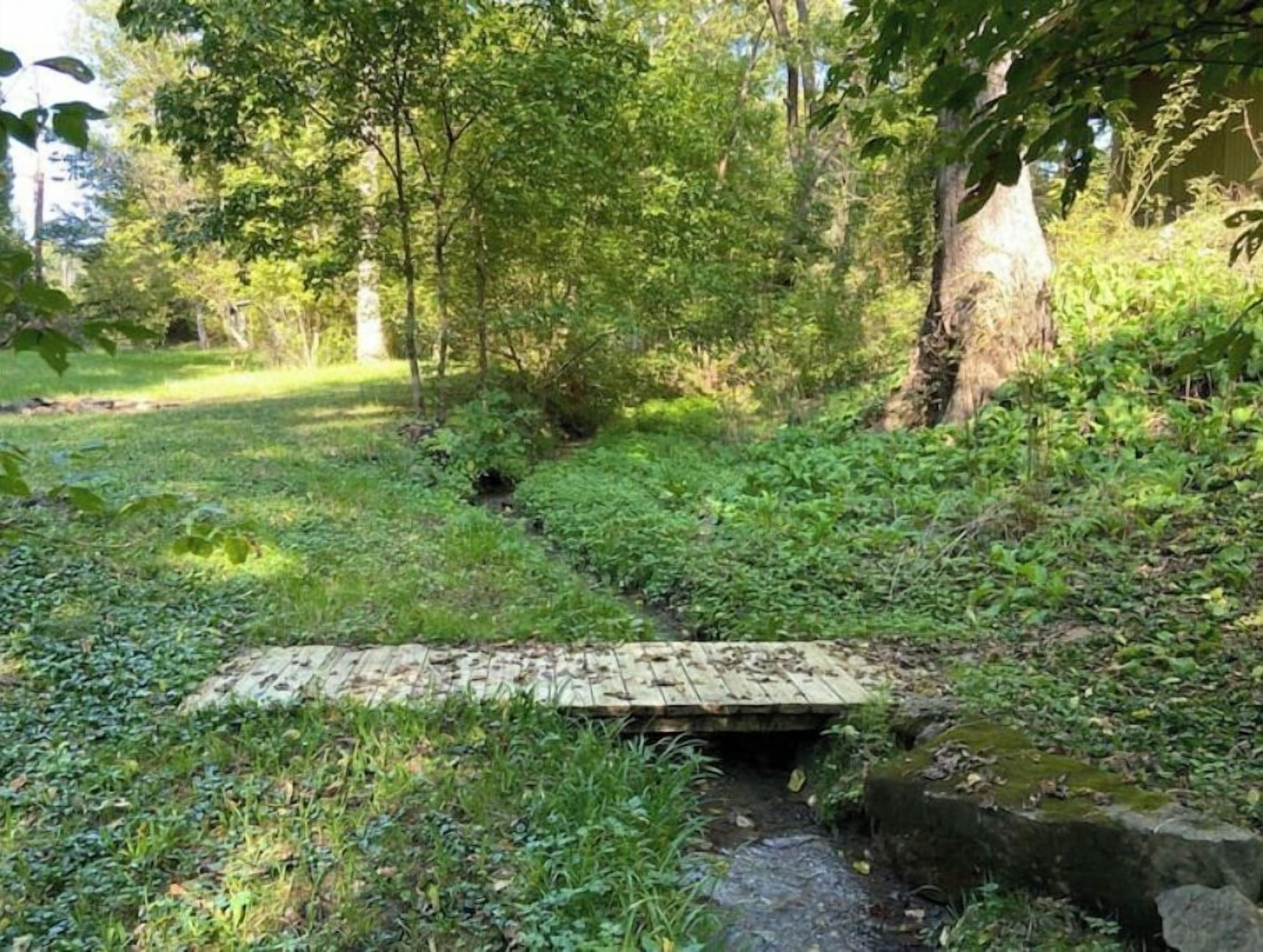 Un puente de madera rústico sobre un arroyo en un bosque verde y frondoso.