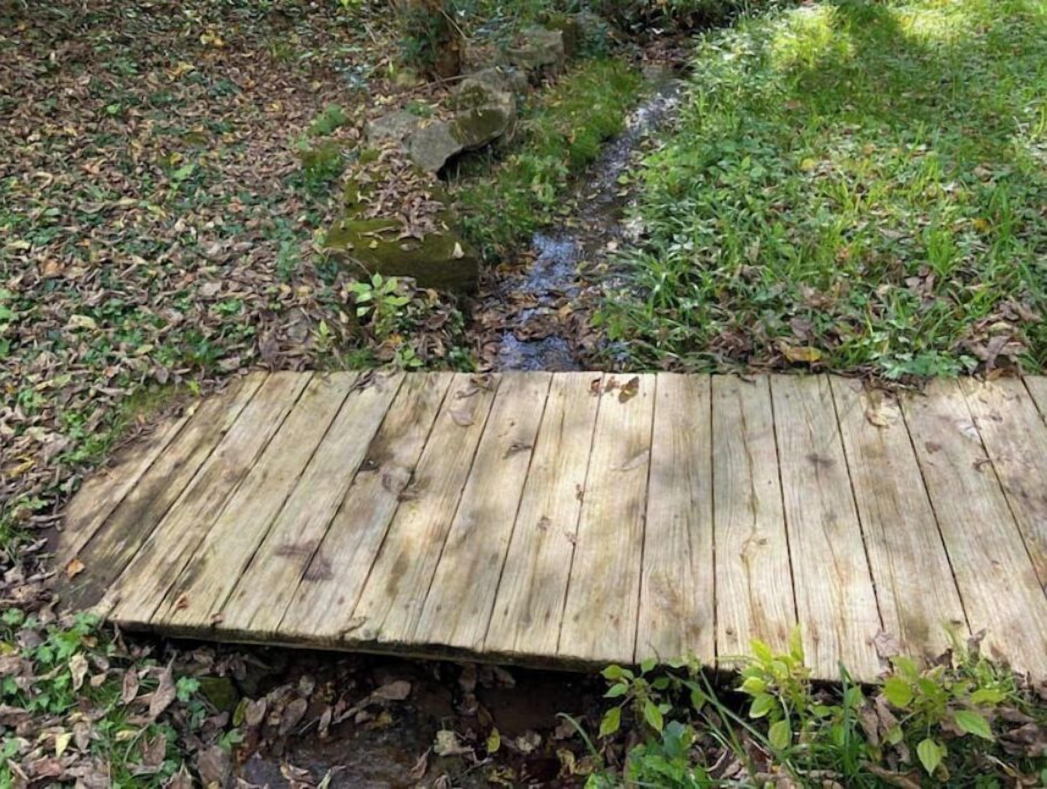 Un puente de madera sobre un arroyo en un área boscosa.