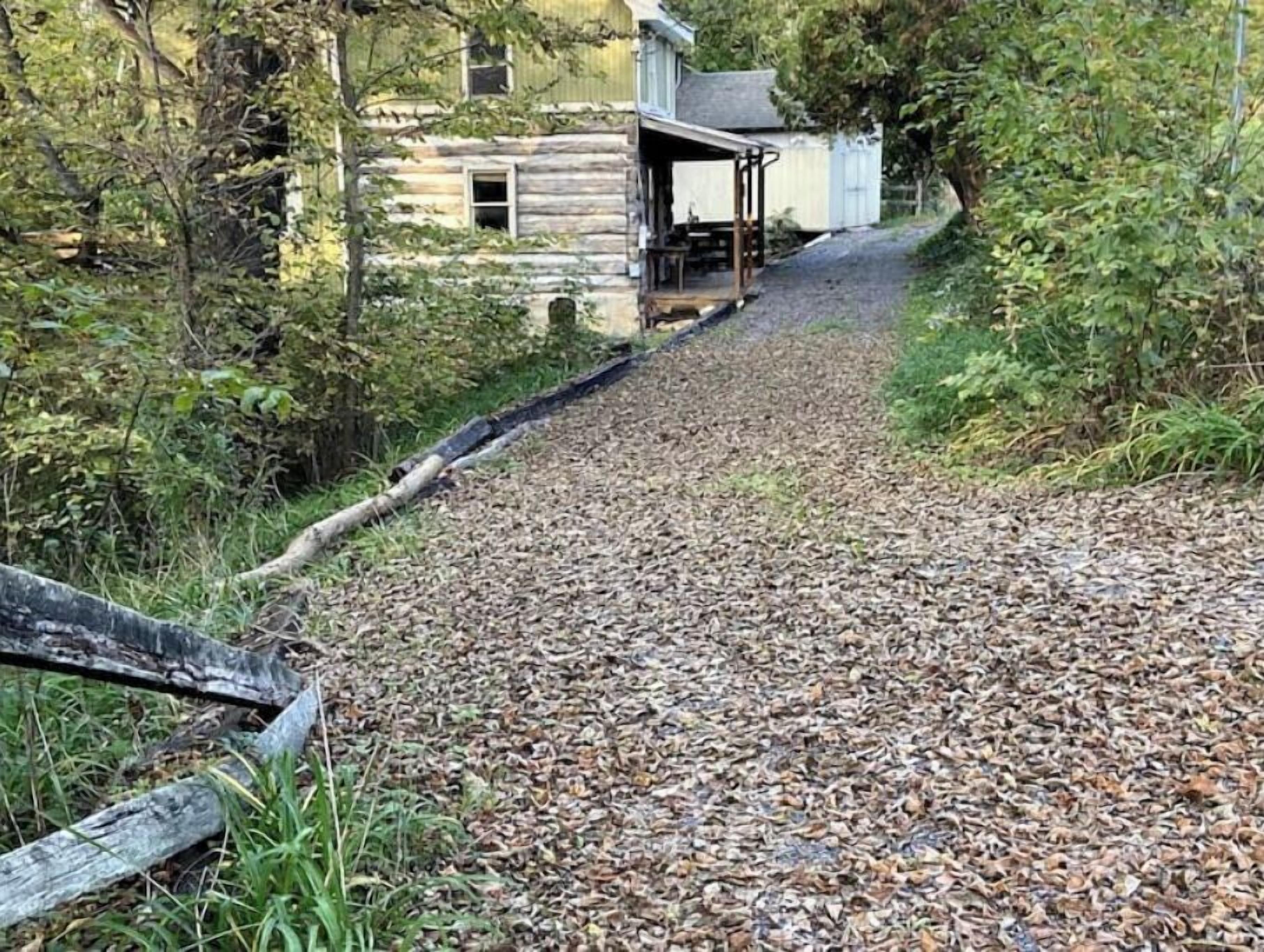 A gravel path leading to a rustic cabin with a porch, surrounded by dense foliage.