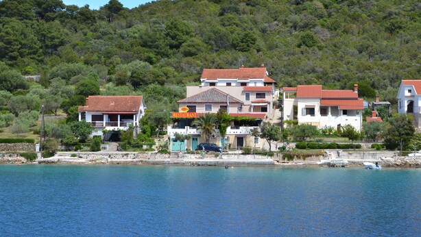 A coastal property with multiple buildings, a restaurant, and a marina.