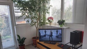 A living room with a TV on a wooden stand, a potted plant, and a window with blinds. - Apartments Branka - Two Bedroom Apartment with Terrace (Razanac)