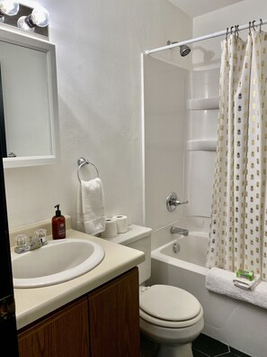 A Suite with a View 2 | Bathroom
