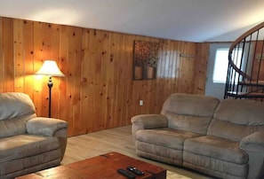 TV, fireplace, books