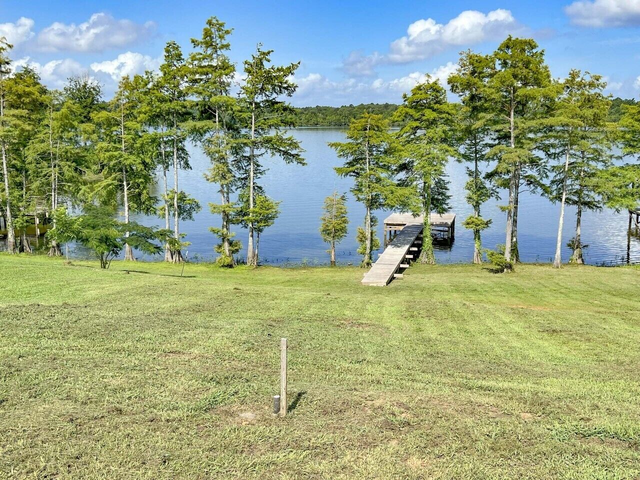 Un'area verdeggiante con un pontile di legno che conduce a un molo sull'acqua, circondato da alberi.