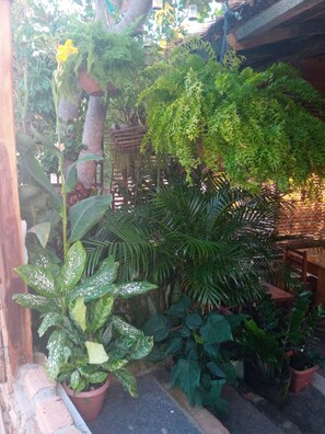 منظر من الجو على ارتفاع عالٍ