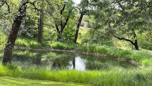 Un étang paisible, entouré d’une végétation luxuriante et d’arbres, avec une maison en arrière-plan.