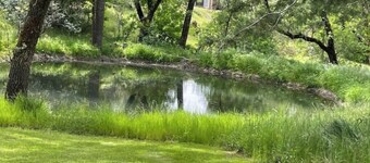 Cozy Guesthouse on 5 acres