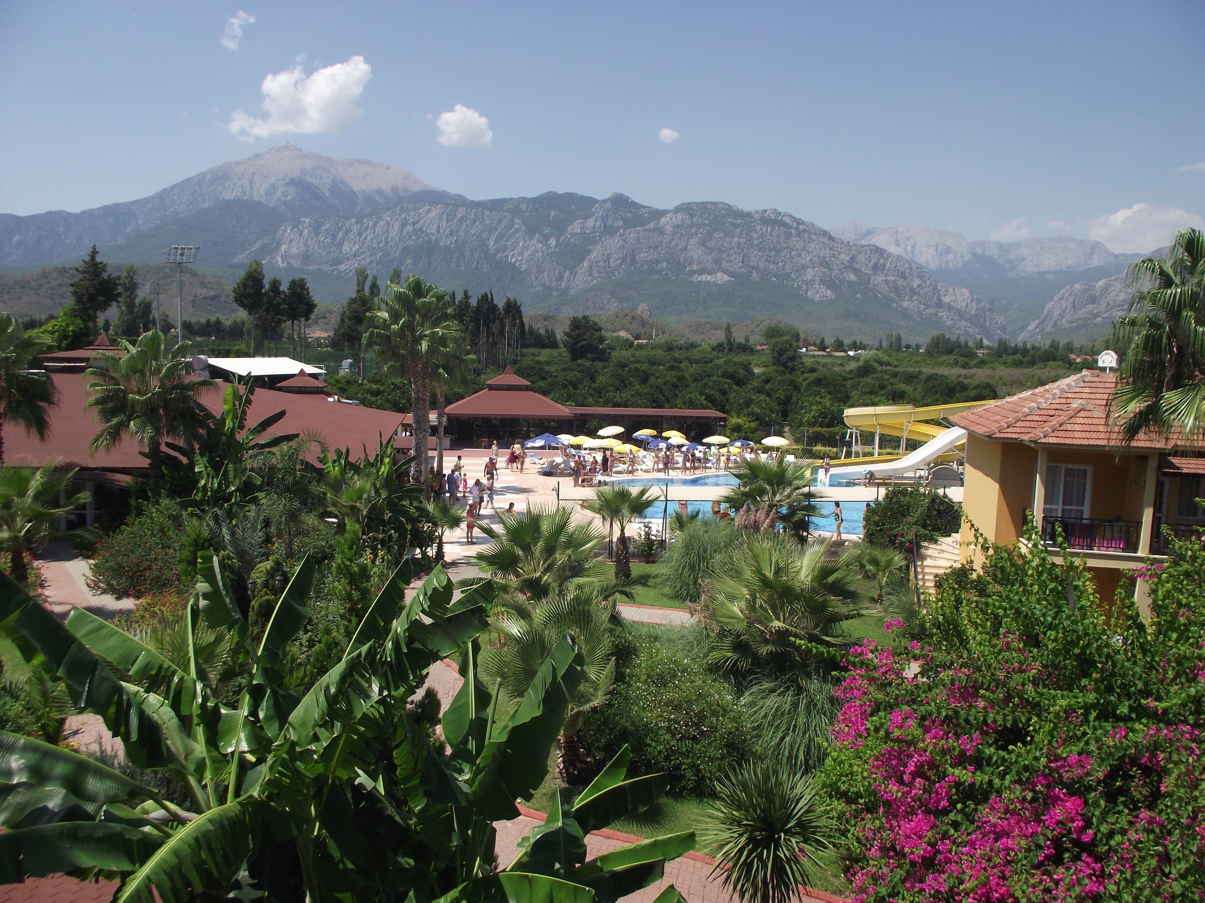 Un resort con piscina, palmeras y montañas al fondo.