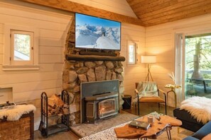 Smart TV, fireplace, books, smart speakers