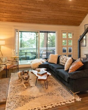 Smart TV, fireplace, books, smart speakers