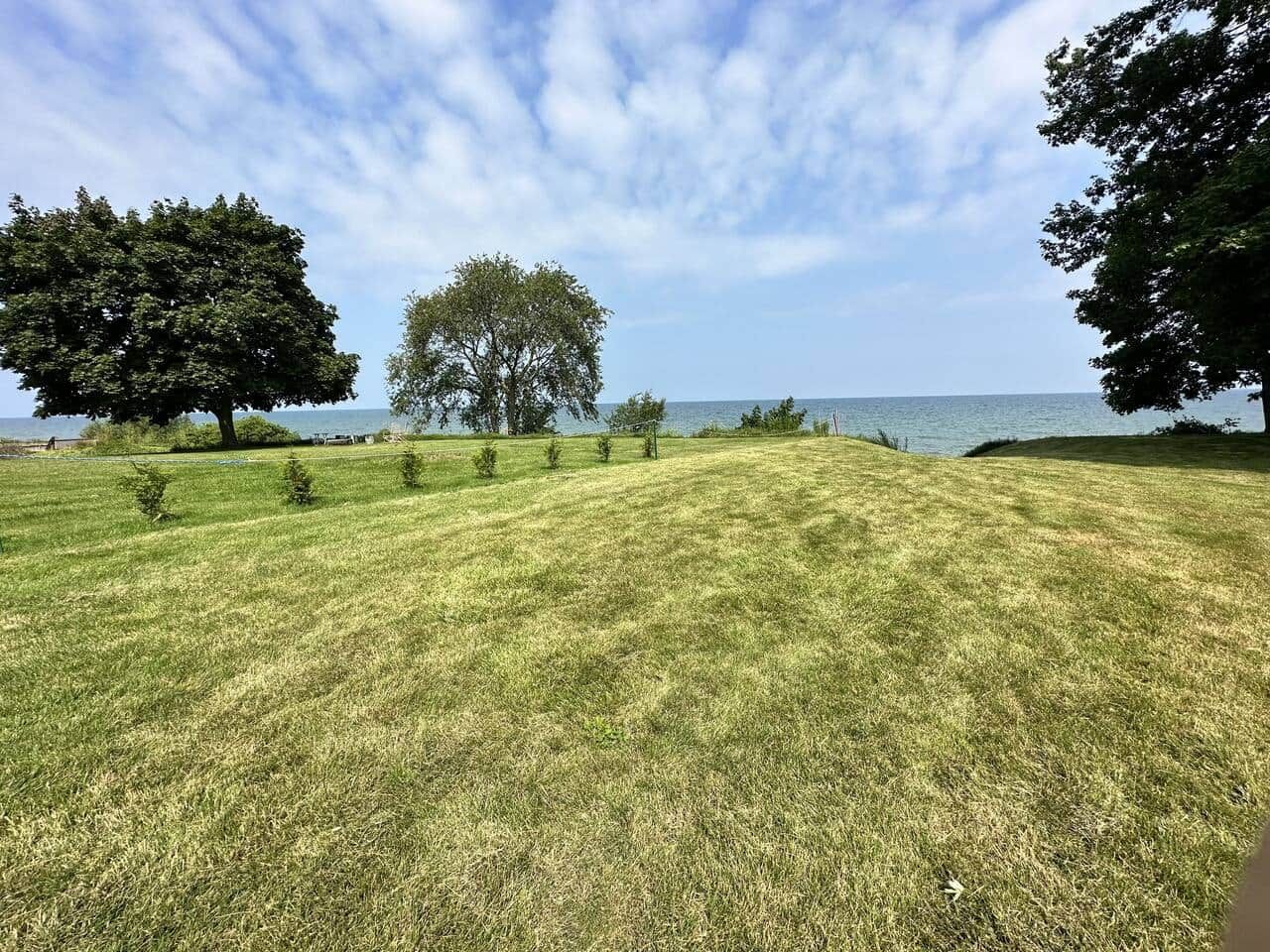 Un champ verdoyant, parsemé d’arbres, avec vue sur la mer.