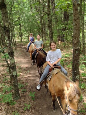 Three people riding horses on a forest trail.