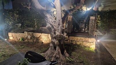 เล คาเซ อัล ควอดราโต