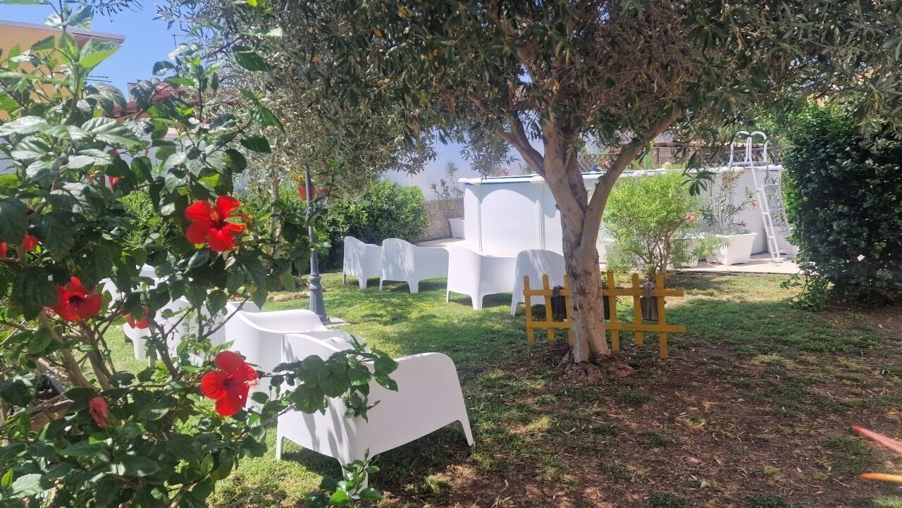 An outdoor seating area with white plastic chairs and tables, a small tree, and a ladder leaning against a structure.
