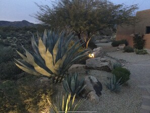 المنطقة المحيطة بالمنشأة