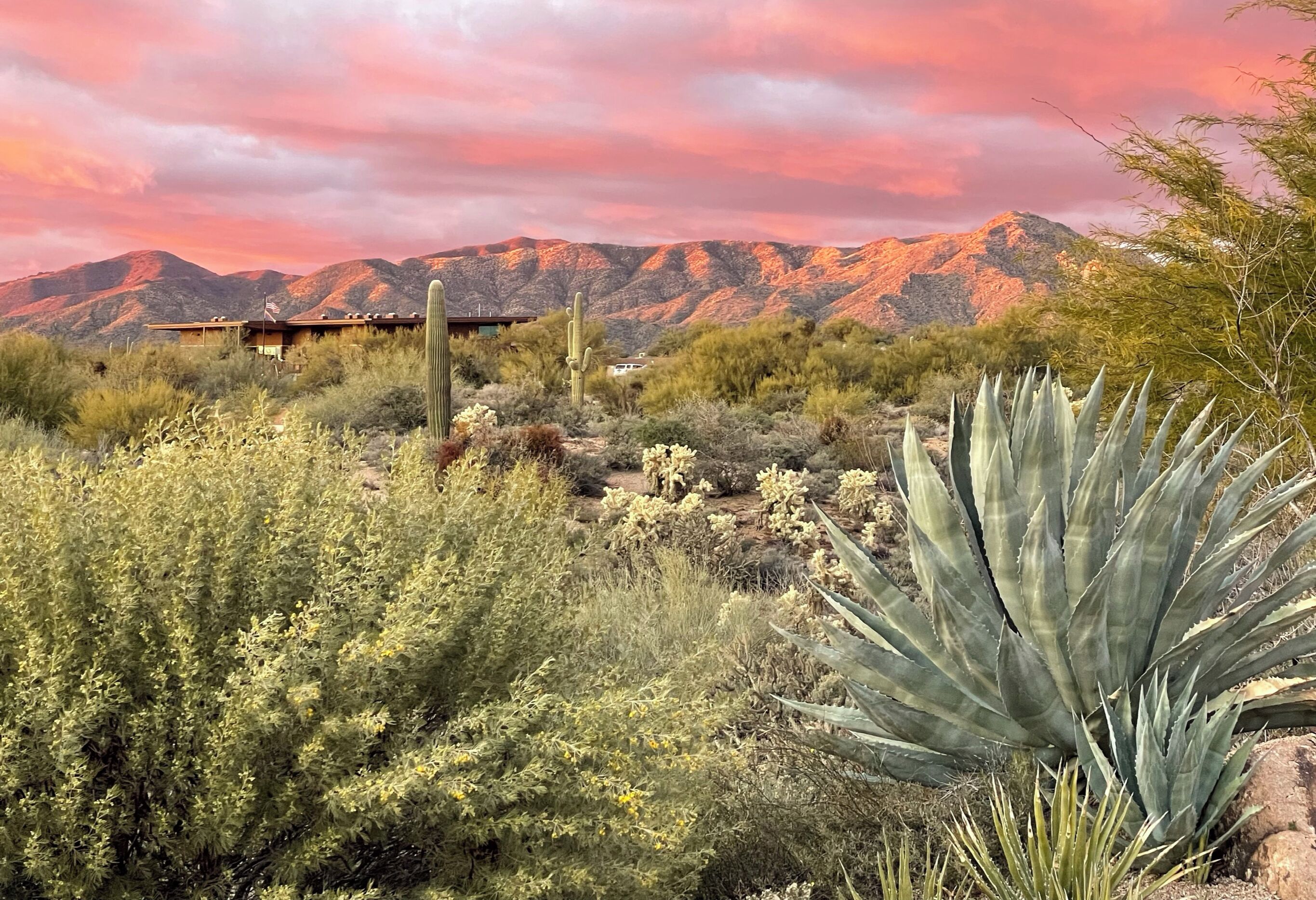 A desert landscape with mountains in the background, a cactus, and a building with a flat roof.