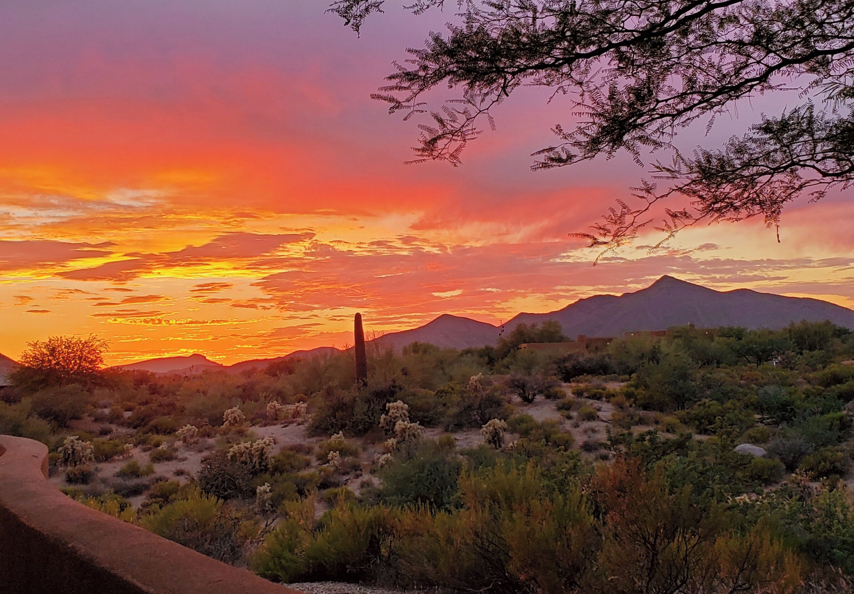 A desert landscape with a sunset, mountains in the background, and sparse vegetation.