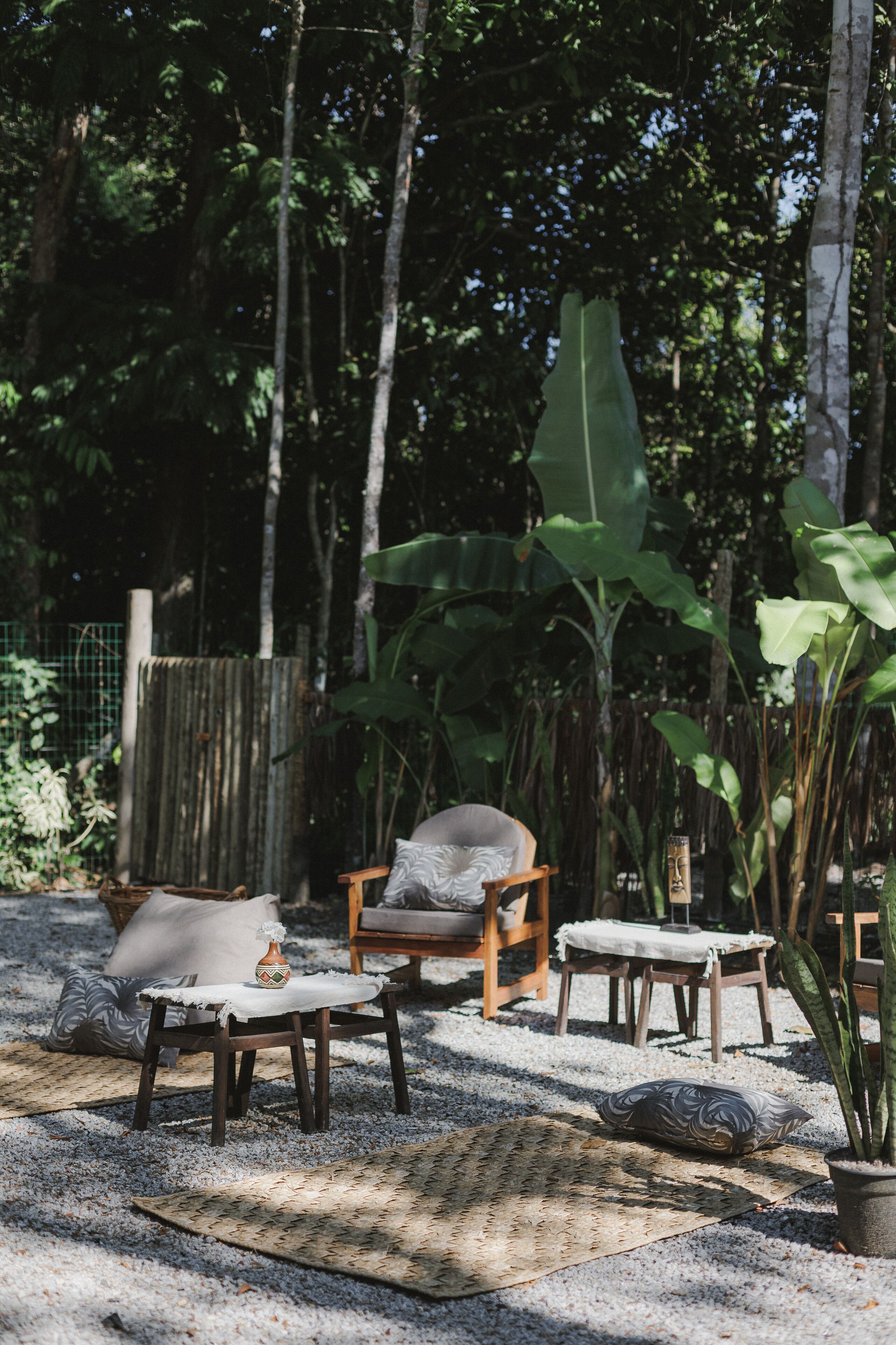 Un área de estar al aire libre con muebles de madera y una planta de plátano grande.