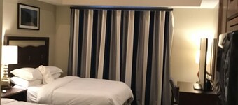 HILTON SUNRISE LODGE: STUDIO UNIT 2queens,1bath. Last day to book. Mar 11-14