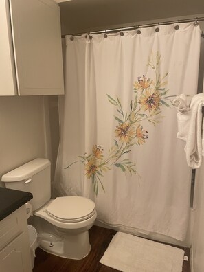 Secadora de cabello, toallas, jabón, papel de baño 