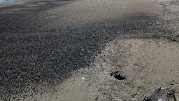 Una playa con cielo despejado, una orilla arenosa y edificios al fondo.