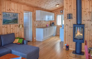 Fernseher, Kamin