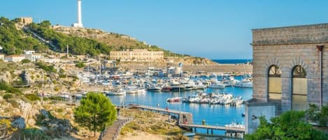 House, 3 Bedrooms, Smoking, Patio | Marina