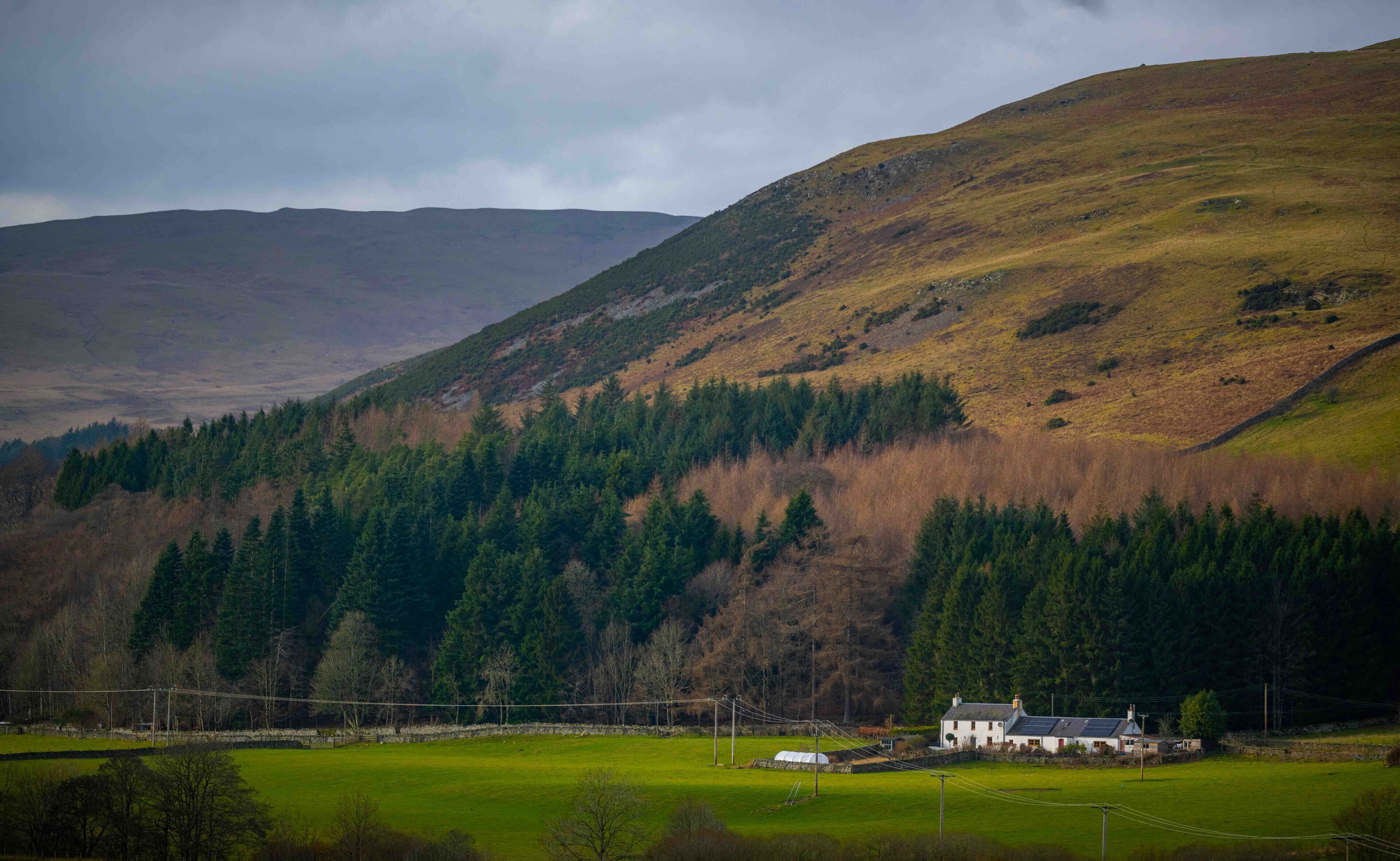 A rural landscape with a house surrounded by green fields and a forested hill.