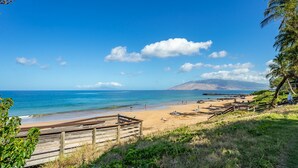 Una playa con un paseo marítimo de madera, palmeras y un cielo azul despejado.