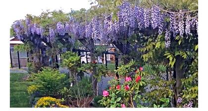 Private suite located on the garden side of our home