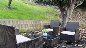 Un espace extérieur aménagé avec des meubles en osier et une plante en pot.