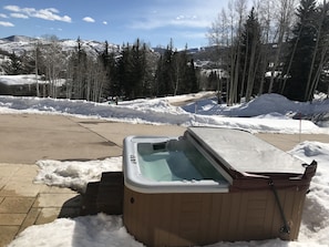 Outdoor spa tub - Classic Chalet on free shuttle route-fireplace, hot tub and sauna.
5 Bedrooms (Snowmass Village)