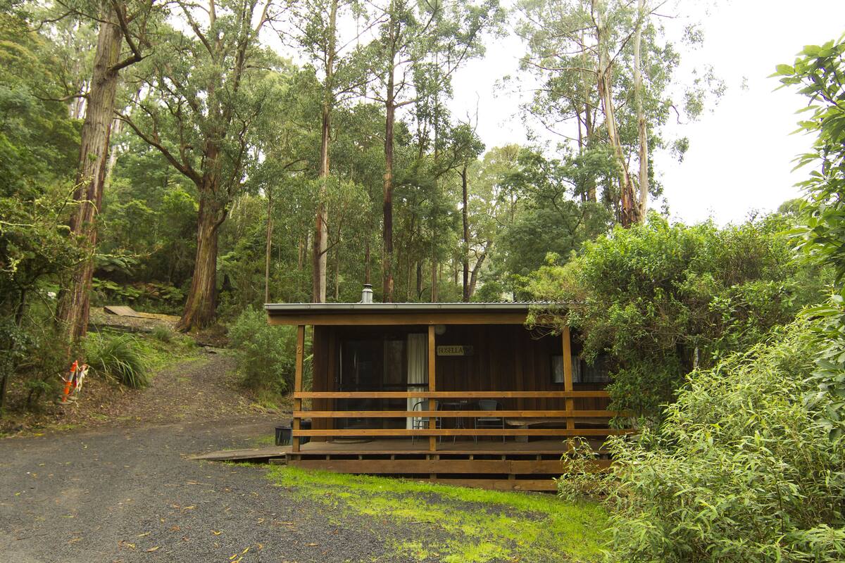 A small wooden cabin with a porch, surrounded by dense forest.