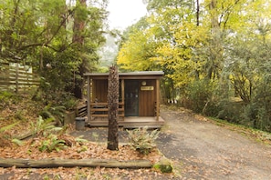 Garden view - Tarra Valley Retreat (Tarra Valley)